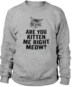 Are You Kitten Me Right Meow Sweatshirt