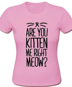 Are You Kitten Me Right Meow T shirt