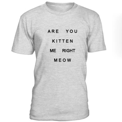 Are You Kitten Me Right Meow Tshirt