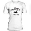 Hollister Beach Div T shirt