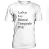 Lesbian Gay Bisexsual Transgender Pride Tshirt