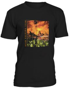 The Eagles 1995 Hell Freezes Over Tour Tshirt