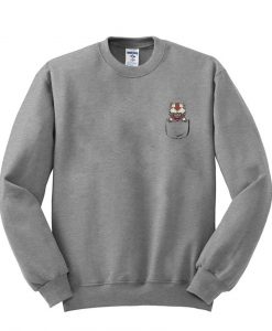 bison sweatshirt