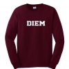 diem sweatshirt