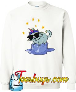 Cool Unicorn Kitty Sweatshirt Ez025