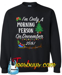 I’m Only A Morning Person On December 25th Christmas Sweatshirt NT