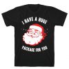 I Have A Huge Package For You Santa Tshirt SN