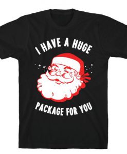 I Have A Huge Package For You Santa Tshirt SN