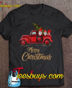 Three Gnomes In Red Truck With Christmas Tree T-SHIRT NT