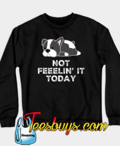 Cute Tired Dog Not Feelin' It Today SWEATSHIRT NR