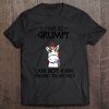 I Am So Grumpy I Am Not Even Talking To Myself T-SHIRT NT