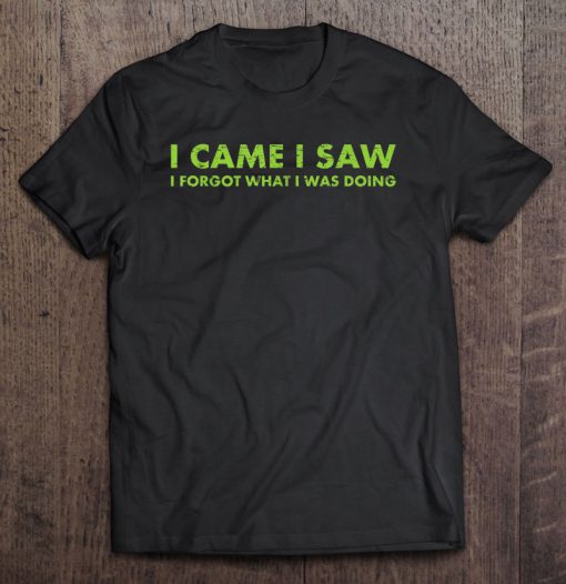 I Came I Saw I Forgot What I Was Doing T-SHIRT NT