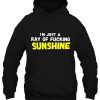 I’m Just A Ray Of Fucking Sunshine HOODIE NT