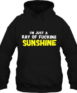 I’m Just A Ray Of Fucking Sunshine HOODIE NT