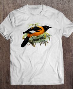 Vintage Oriole Bird Common In Baltimore Maryland T-SHIRT NT