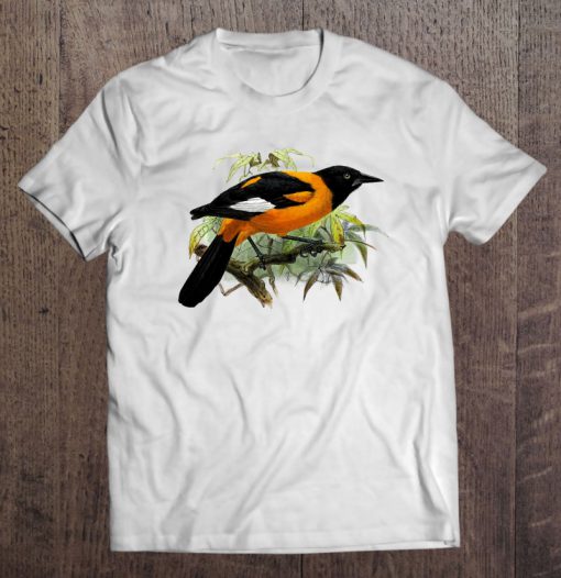 Vintage Oriole Bird Common In Baltimore Maryland T-SHIRT NT