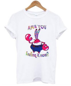 Are You Feeling It Now Mr Krabs t shirt RJ22