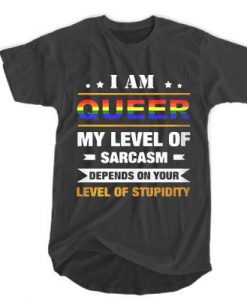 I am Queer my level of sarcasm depends on your level of stupidity t shirt RJ22