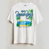 Vintage Beach Boys t shirt RJ22