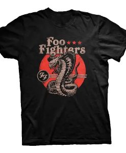 Foo Fighters t shirt RJ22