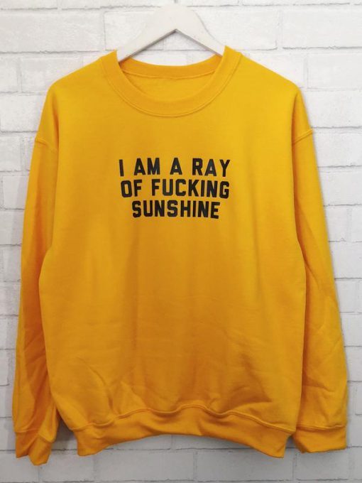 I am a ray of fucking sunshine sweatshirt RJ22