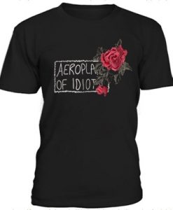 Aeroplane of idiots t shirt RJ22