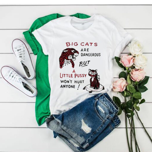 Big cats are dangerous but little pussy won't hurt anyone t shirt RJ22